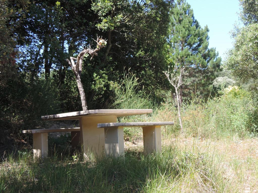 Les Deux Lions Hotell Alairac Exteriör bild