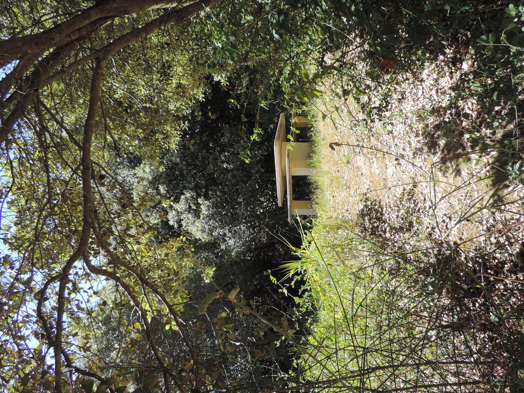 Les Deux Lions Hotell Alairac Exteriör bild